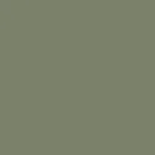 PP16 Agave