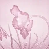Spring Centerpiece Pink