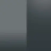 ral-9017