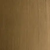 Brushed Lacquered Gold