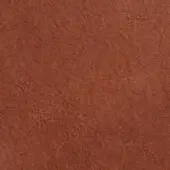 savana-1002