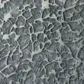 Tin