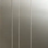 Polished Steel