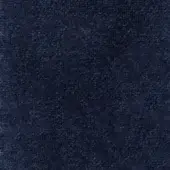 roxana-1001