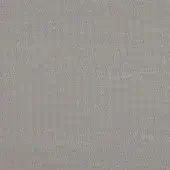 Lopi Silver