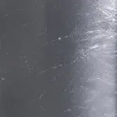 Silver Leaf