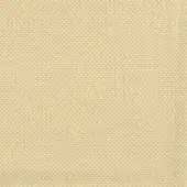 024-Bellini