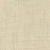 113