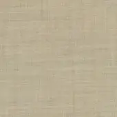 223