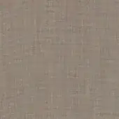 244