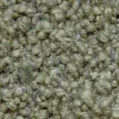 02-26