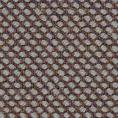 276
