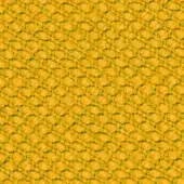 446