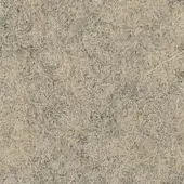 237