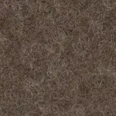 260