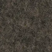 277