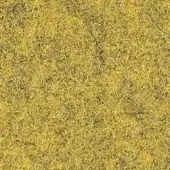 427