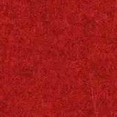 557
