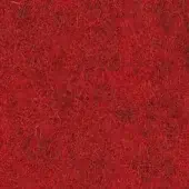 567