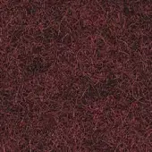 581