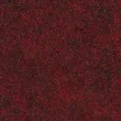 597