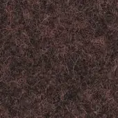 677