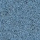 731