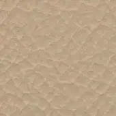 12097