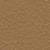43041