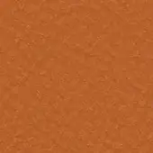 45024