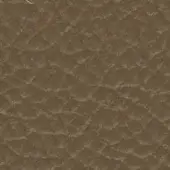 98016