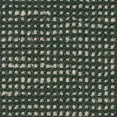 19106_140_fern