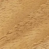 Teak