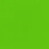 Green Lacquer