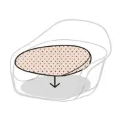 Elephantino Armchair - Elephantino removable cushion