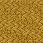 C201 - Sunflower
