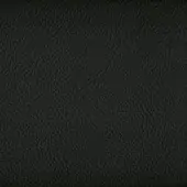 P53-Black
