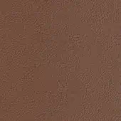 P61-Brown