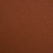 P68-Burnt_Sienna