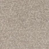 Diva-dis21-208-tortora
