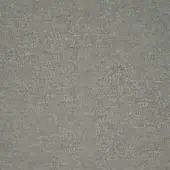 Opus-803-nebbia