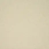Opus-901-gesso