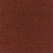Diva-dis1-202-bruciato