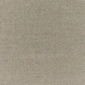 Diva-dis1-203-nebbia