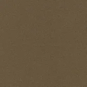 F_13033_C0251_W24