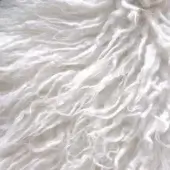 Gervasoni Capsule Collection 2026 angora-white