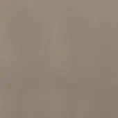 Braid Plain 1005