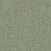 Braid Decorativo 1205