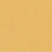 Braid Decorativo 1207