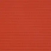 Braid Decorativo 1210